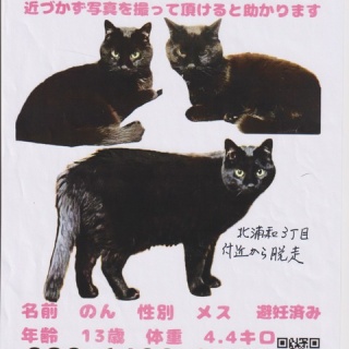 みんなの動物病院からのおしらせ