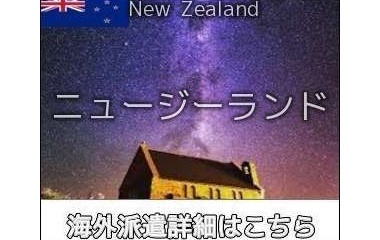 『ニュージーランド・オークランド・スパ案件』の画像