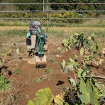 定年後・田舎作って・コメ野菜