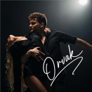 Orvak - Goodbye My Love