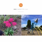 つながるケアステーション