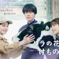 【実況・感想】【土曜ドラマ】リラの花咲くけものみち2（1）