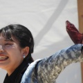 奥久慈よさこい祭り5/17　V1