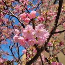 2階の様子は…🌸
