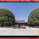 おススメぶらり旅(6)伏見桃山陵と明治神宮／花前カレン