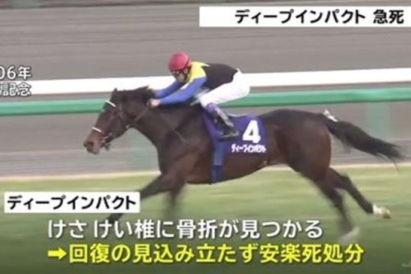 なぜディープインパクトは骨折で安楽死させられたのか についての解説 くまニュース
