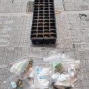 The種まきチャレンジin2026