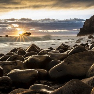 友だちいない研究所