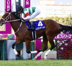 【阪神ジュベナイルＦ2025予想】