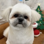 大阪府 ペットショップワンラブ ららぽーと堺店スタッフブログ