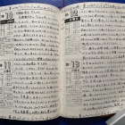 『45年前の星日記：1980年10月10-13日～蚤の市編【追々記】2025/10/11』の画像