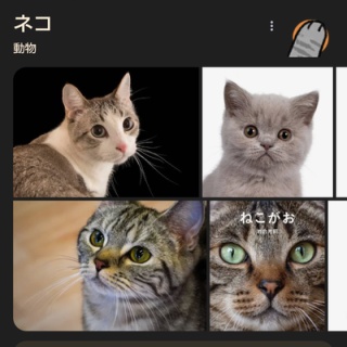 もう貴女とは暮らせない