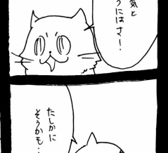 ドワーフキャットタオルちゃん48