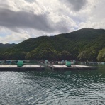 筏、カセの短竿大型五目釣り。