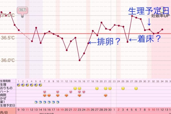 田舎主婦のわくわく妊婦生活 9周期目 クロミッド フォリスチム