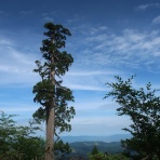 みー猫の山旅風景写真