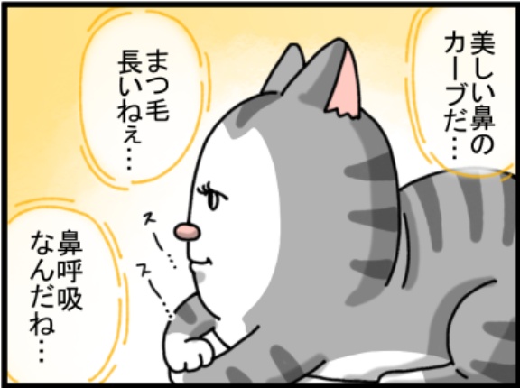 猫ってぼーっとしながらつい観察しちゃう