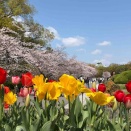 26年度春1本目のツアーをおえて