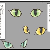 卒業後の進路④【NNNにロックオンされています】