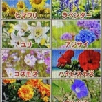 アッキーのブログです。39歳です。(AKB39)