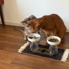 横取りひめちゃん