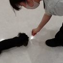 お勉強の時間🐶