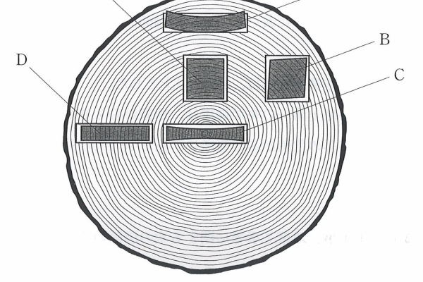 建築デザイン研究科 - 木造H23施工