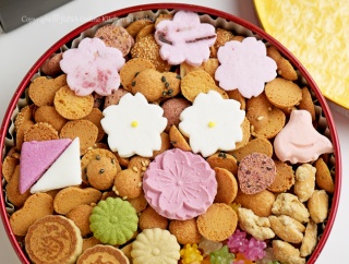 50代、先日の旅行にAIをどう使ったのか／桜の時期を待って開けた春のクッキー