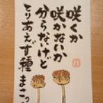 静岡大好き！　酒のバオオへようこそ