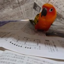 新聞から生まれた・・・