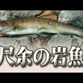 学びの楽しさ「日本現代詩歌文学館 短歌実作講座」