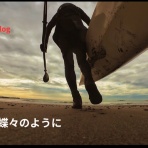 三浦ｄｅシーカヤック sea to summit