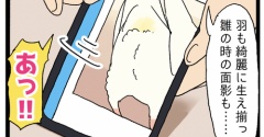 鳥さんのおちりの写真、撮るよね🍑