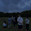 6月のSPY①