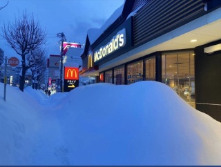 【画像】北海道に移住したけど冬ヤバイわ