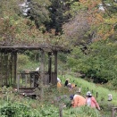 本格的に秋🍁がやって来ました。