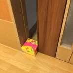 介護老人保健施設 仙寿苑　ブログ