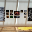 「森の表情」を切り取る作品展