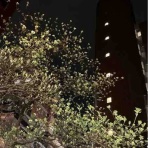 keikosensei1212のblog