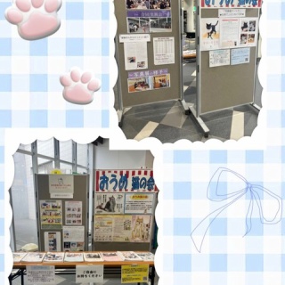青梅ニャンだふる☆Life