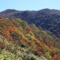 9年ぶりの裏那須へ！紅葉の三本槍岳🍁