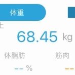 てきとー糖質制限ダイエット