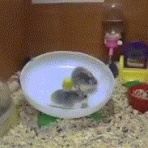 はーとログ
