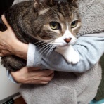 NPO法人 福井犬猫を救う会