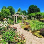 ﾛﾝﾄﾞﾝ(穴場)ﾀﾀﾞｶﾞｲﾄﾞ写真編 London photo guide blog