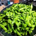 新潟の夏のキング オブ おつまみ！最高クラスの新潟市西区の朝もぎ枝豆ザル一杯でガブガブ晩酌！