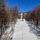 【25-26ゲレレポ】福島県@グランデコスキー場