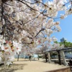 大阪　団塊世代の趣味と生活のブログ。