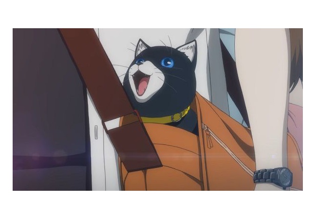 【ペルソナ5】カバンに猫詰めて登校した結果