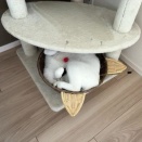 ねこ：おれじゃないよー